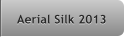 Aerial Silk 2013 Aerial Silk 2013