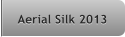 Aerial Silk 2013 Aerial Silk 2013